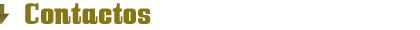 Contactos